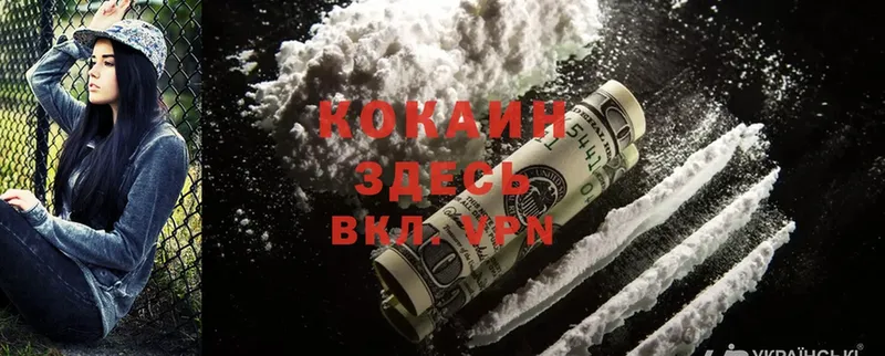 COCAIN Fish Scale  блэк спрут вход  Белёв 